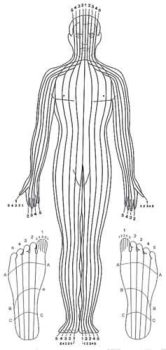 05 voetreflexologie 03